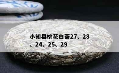 小知县桃花白茶27、28、24、25、29