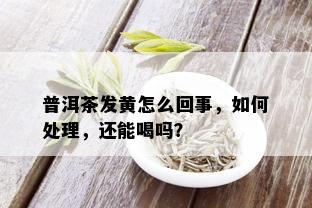 普洱茶发黄怎么回事，如何处理，还能喝吗？