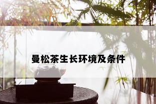 曼松茶生长环境及条件