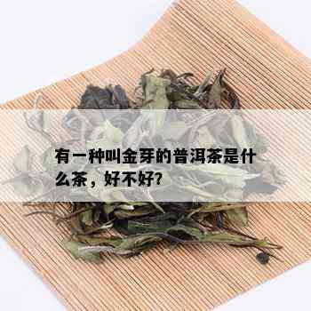 有一种叫金芽的普洱茶是什么茶，好不好？