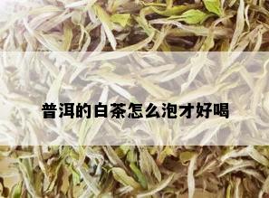 普洱的白茶怎么泡才好喝