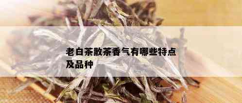 老白茶散茶香气有哪些特点及品种