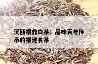 沉瓯福鼎白茶：品味百年传承的福建名茶