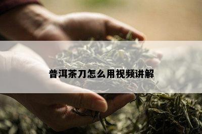 普洱茶刀怎么用视频讲解