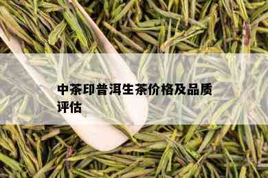 中茶印普洱生茶价格及品质评估