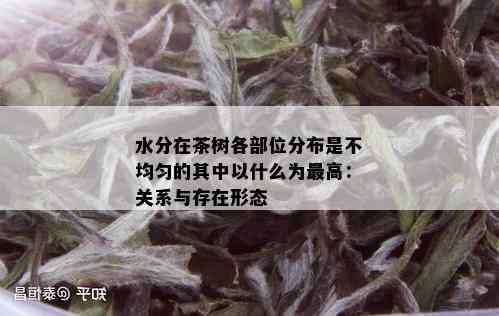 水分在茶树各部位分布是不均匀的其中以什么为更高：关系与存在形态