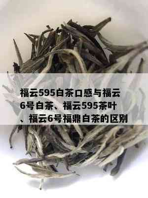 福云595白茶口感与福云6号白茶、福云595茶叶、福云6号福鼎白茶的区别