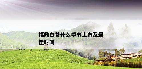 福鼎白茶什么季节上市及更佳时间