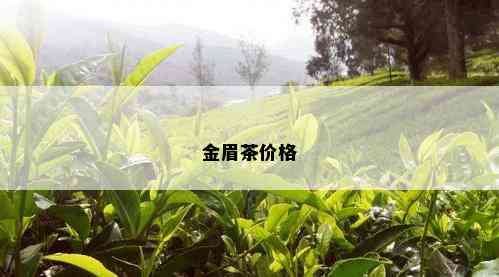 金眉茶价格