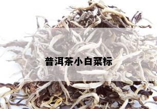 普洱茶小白菜标