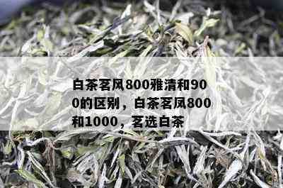 白茶茗风800雅清和900的区别，白茶茗凤800和1000，茗选白茶