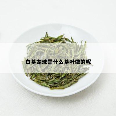 白茶龙珠是什么茶叶做的呢