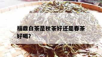 福鼎白茶是秋茶好还是春茶好喝？