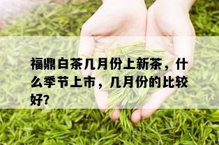 福鼎白茶几月份上新茶，什么季节上市，几月份的比较好？