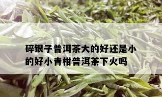 碎银子普洱茶大的好还是小的好小青柑普洱茶下火吗