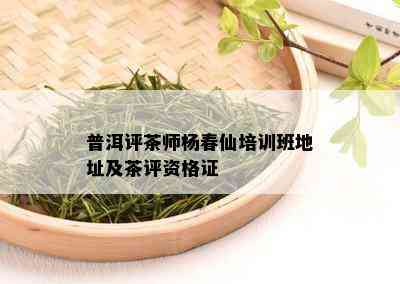 普洱评茶师杨春仙培训班地址及茶评资格证