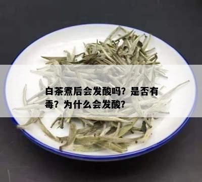 白茶煮后会发酸吗？是否有？为什么会发酸？