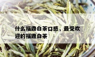 什么福鼎白茶口感，更受欢迎的福鼎白茶