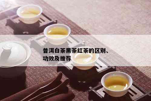 普洱白茶黑茶红茶的区别、功效及推荐