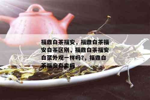 福鼎白茶福安，福鼎白茶福安白茶区别，福鼎白茶福安白菜外观一样吗?，福鼎白茶福安有卖吗