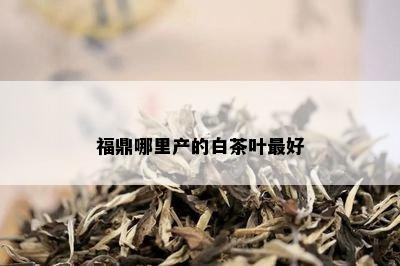 福鼎哪里产的白茶叶更好