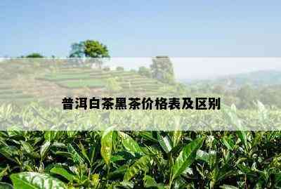 普洱白茶黑茶价格表及区别