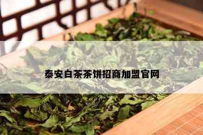 泰安白茶茶饼招商加盟官网