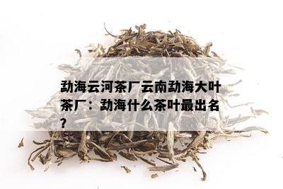 勐海云河茶厂云南勐海大叶茶厂：勐海什么茶叶最出名？