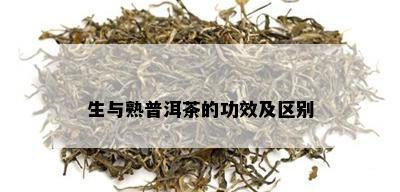 生与熟普洱茶的功效及区别