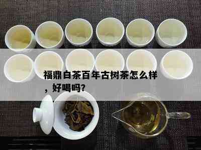 福鼎白茶百年古树茶怎么样，好喝吗？