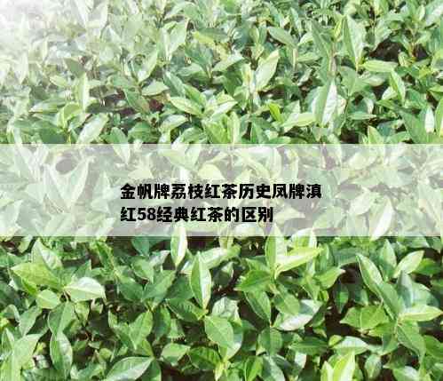 金帆牌荔枝红茶历史凤牌滇红58经典红茶的区别