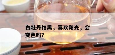 白牡丹怕黑，喜欢阳光，会变色吗？