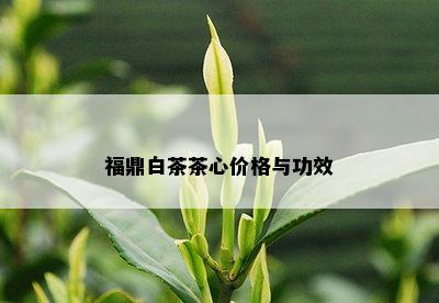 福鼎白茶茶心价格与功效