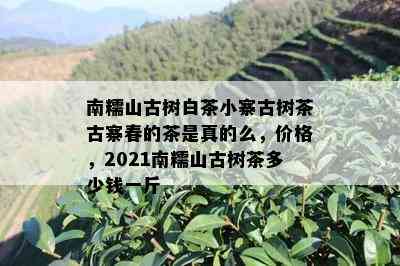 南糯山古树白茶小寨古树茶古寨春的茶是真的么，价格，2021南糯山古树茶多少钱一斤