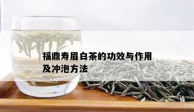 福鼎寿眉白茶的功效与作用及冲泡方法