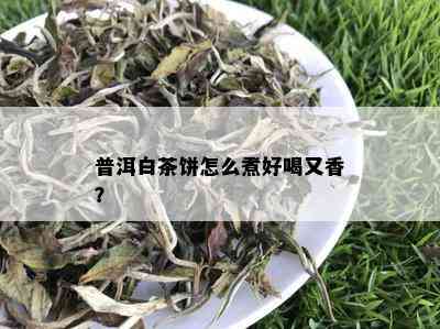 普洱白茶饼怎么煮好喝又香？