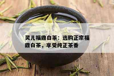 灵儿福鼎白茶：选购正宗福鼎白茶，享受纯正茶香