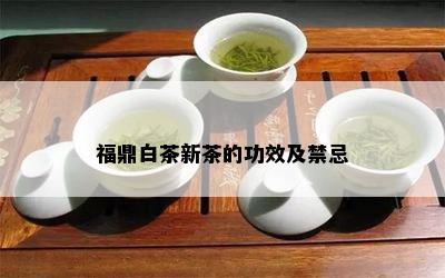 福鼎白茶新茶的功效及禁忌