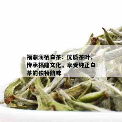 福鼎澜栖白茶：优质茶叶，传承福鼎文化，享受纯正白茶的独特韵味