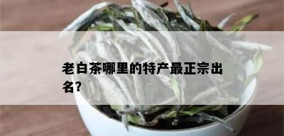 老白茶哪里的特产最正宗出名？