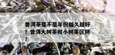 普洱茶是不是年份越久越好？普洱大树茶和小树茶区别？