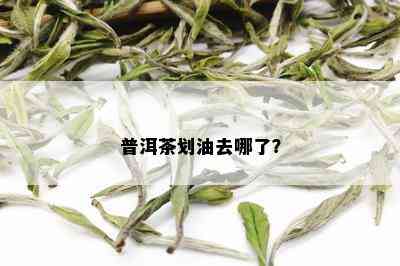 普洱茶划油去哪了？