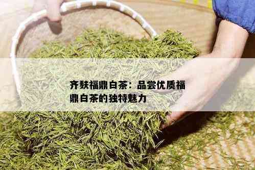 齐麸福鼎白茶：品尝优质福鼎白茶的独特魅力