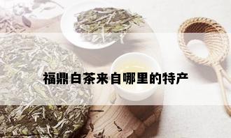 福鼎白茶来自哪里的特产