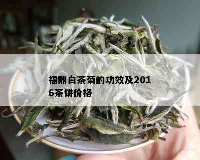 福鼎白茶菊的功效及2016茶饼价格