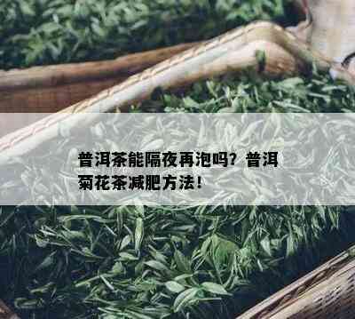 普洱茶能隔夜再泡吗？普洱菊花茶减肥方法！