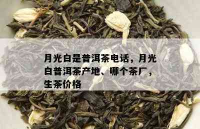 月光白是普洱茶电话，月光白普洱茶产地、哪个茶厂，生茶价格