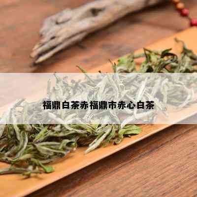 福鼎白茶赤福鼎市赤心白茶