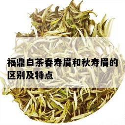 福鼎白茶春寿眉和秋寿眉的区别及特点