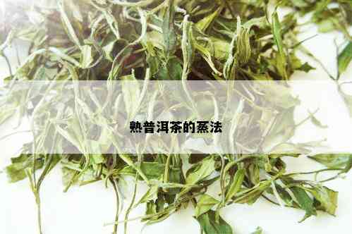 熟普洱茶的蒸法